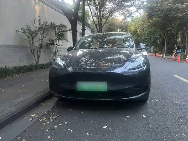 Tesla Model Y — Фото автомобиля 5