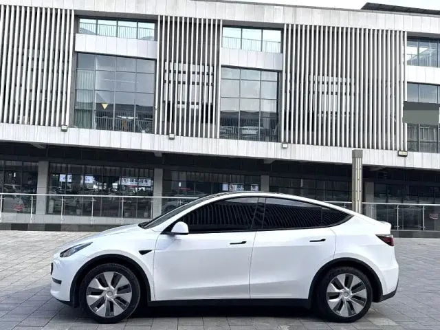 Tesla Model Y — Фото автомобиля 3