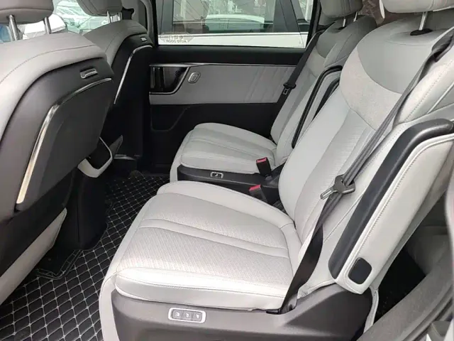 Maxus Dajia 7 — Фото автомобиля 16