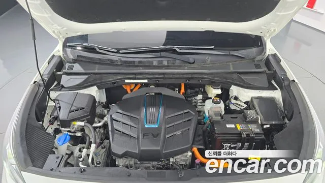 Kia Niro Niro Plus Earth — Фото автомобиля 6