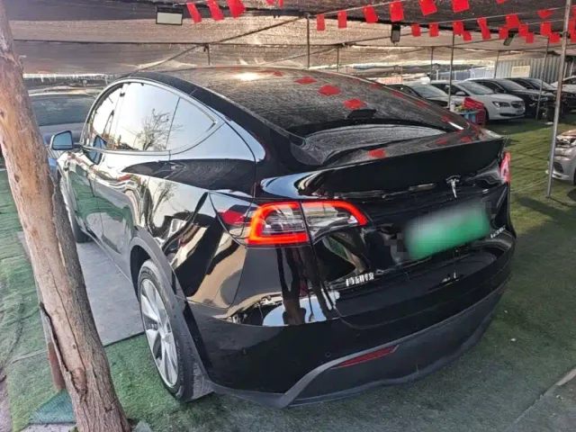 Tesla Model Y — Фото автомобиля 4