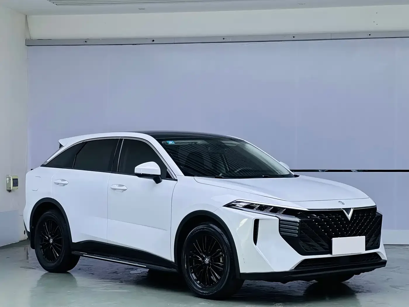 Venucia Venucia Big V 2021 260T Idol Edition — Фото автомобиля 3
