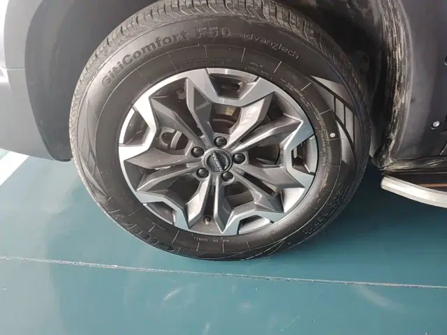 Haval Big Dog — Фото автомобиля 22