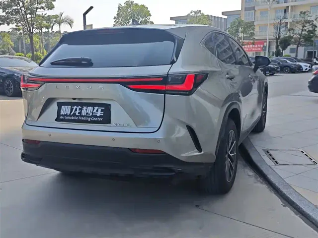 Lexus NX — Фото автомобиля 9