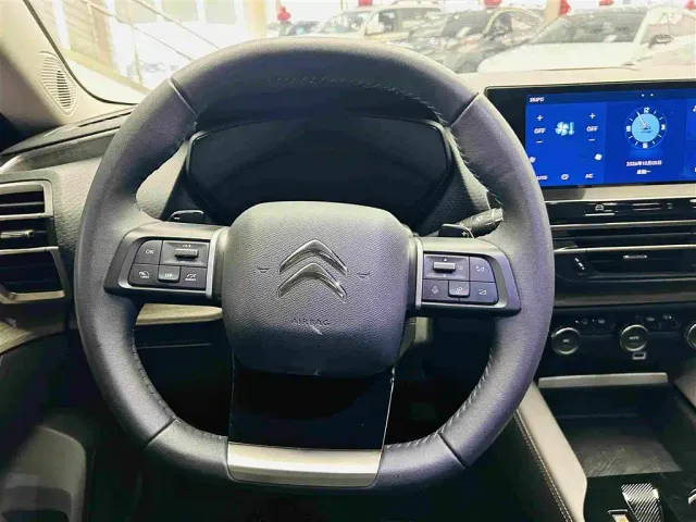 Citroen C5 X — Фото автомобиля 16