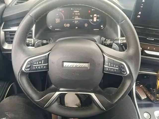 Haval H6 — Фото автомобиля 10