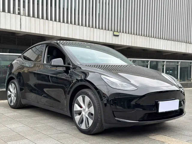Tesla Model Y — Фото автомобиля 2