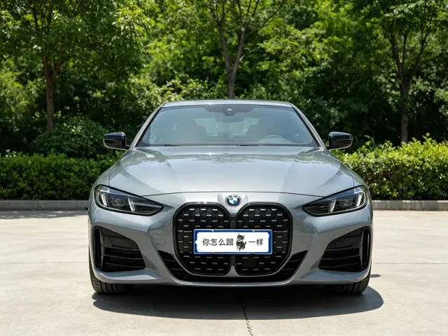 BMW 4 Series — Фото автомобиля 2