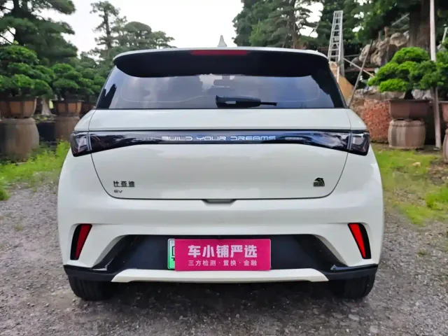 BYD Dolphin — Фото автомобиля 16