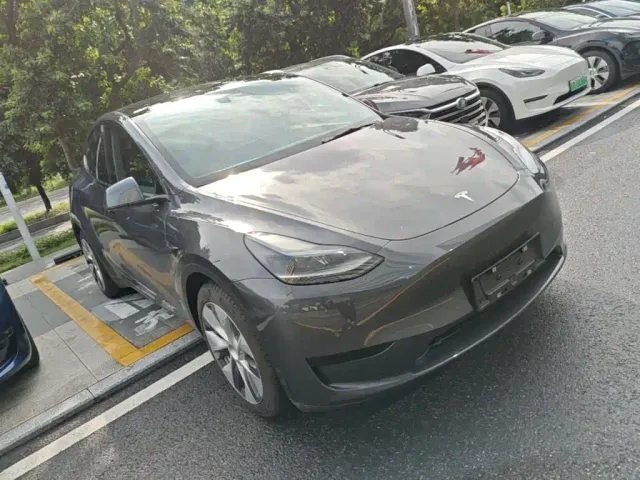 Tesla Model Y — Фото автомобиля 3