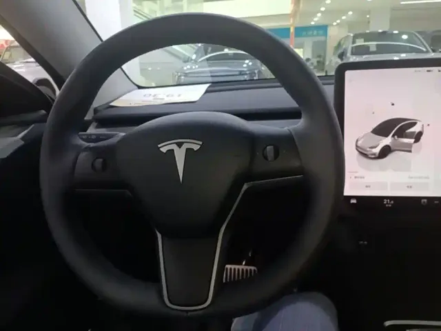 Tesla Model Y — Фото автомобиля 10