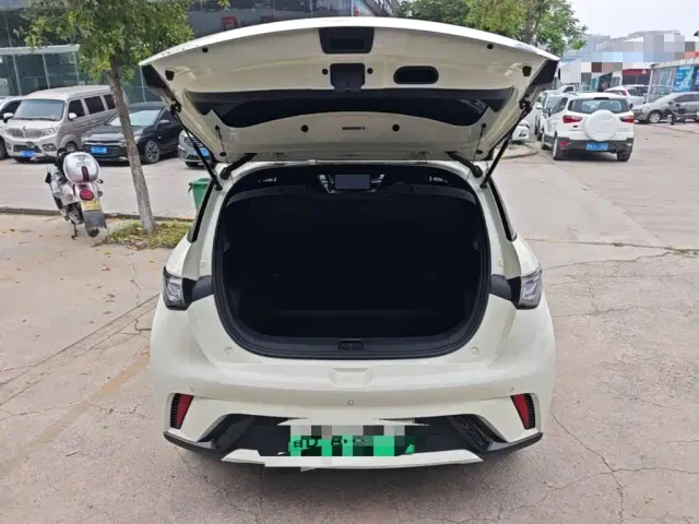 BYD Dolphin — Фото автомобиля 18