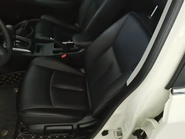 Nissan Sylphy — Фото автомобиля 10