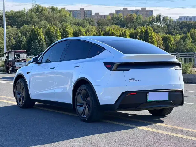 Tesla Model Y — Фото автомобиля 6
