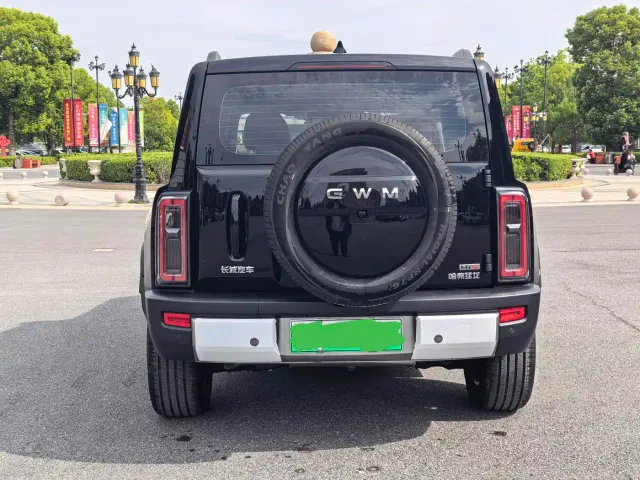 Haval Raptor — Фото автомобиля 20