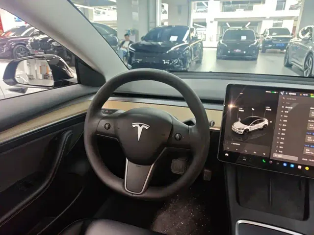Tesla Model 3 — Фото автомобиля 10