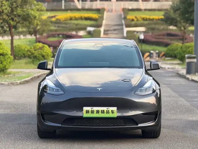Tesla Model Y — Фото автомобиля 3
