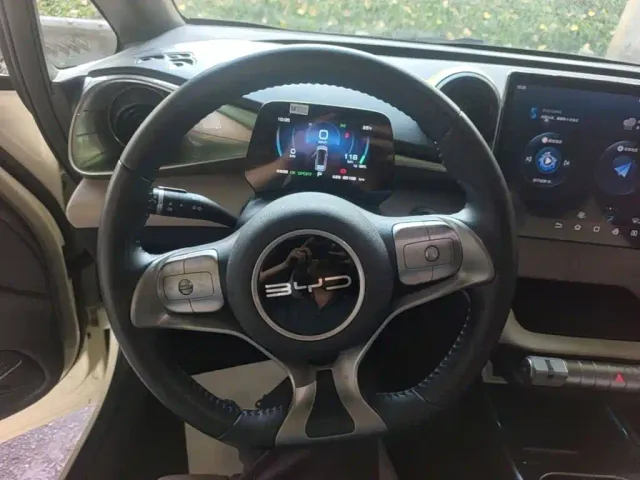 BYD Dolphin — Фото автомобиля 10