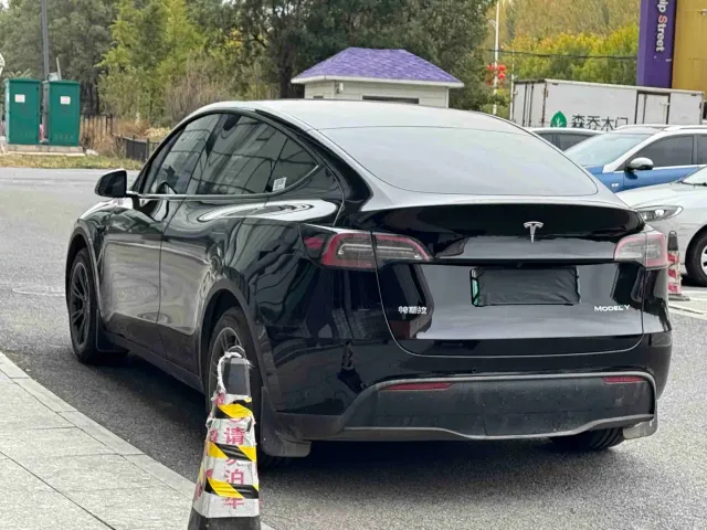 Tesla Model Y — Фото автомобиля 6