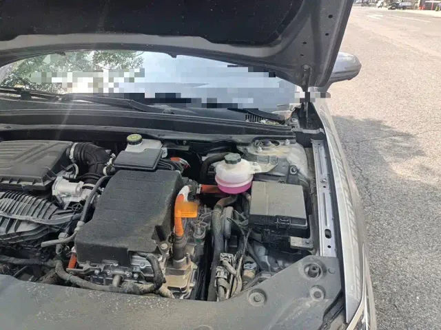 BYD Qin PLUS — Фото автомобиля 20