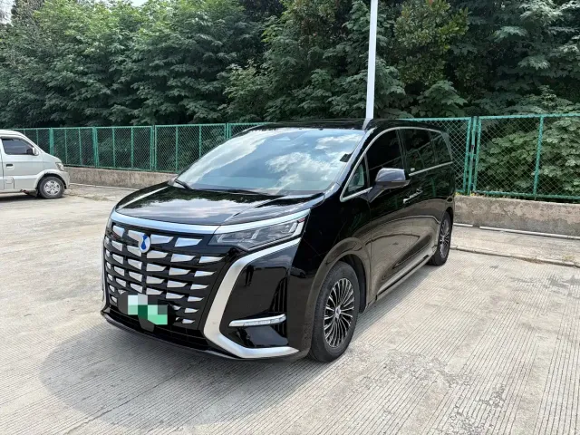 Фотография автомобиля — Denza D9