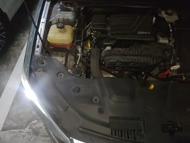 BYD Qin PLUS 2021 DM-i 55KM Flagship — Фото автомобиля 20