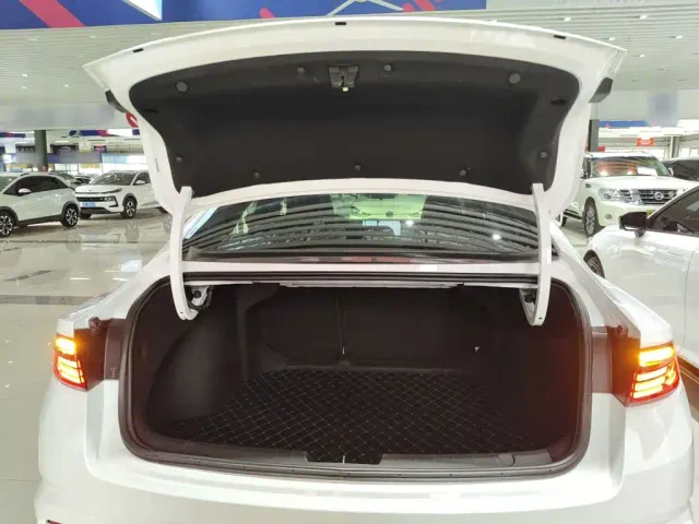 Geely Xing Rui 2023 2.0TD Premium Model — Фото автомобиля 14