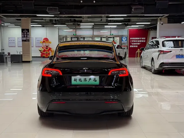 Tesla Model Y — Фото автомобиля 5