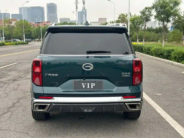 GAC Trumpchi Trumpchi GS8 2022 Pilot Series 2.0TGDI 2WD Premium Edition (7-Seater) — Фото автомобиля 8