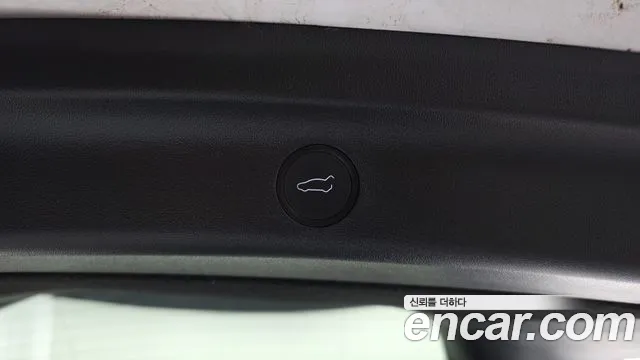 Tesla Model Y — Фото автомобиля 29