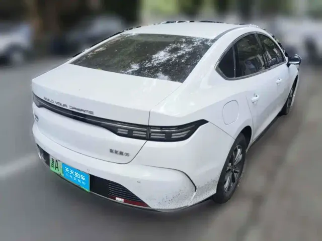 BYD Destroyer 05 — Фото автомобиля 2