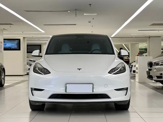 Tesla Model Y — Фото автомобиля 2