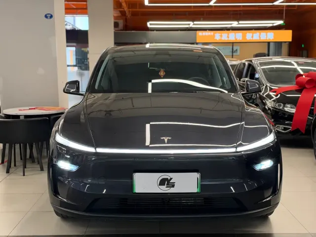 Tesla Model Y — Фото автомобиля 2