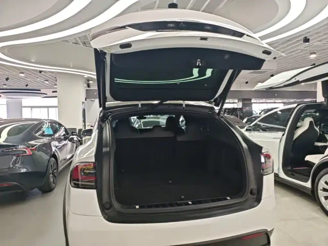 Tesla Model X — Фото автомобиля 18