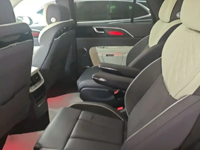 Hongqi E-HS9 — Фото автомобиля 16