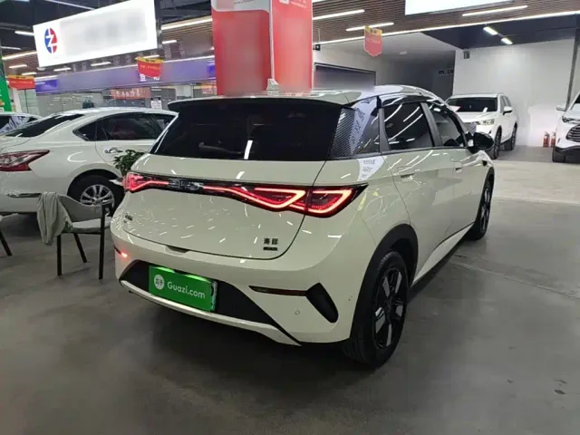BYD Dolphin — Фото автомобиля 6