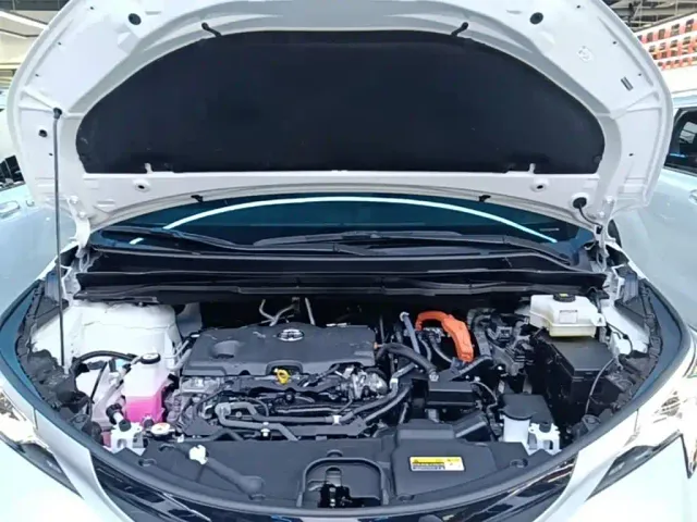 Toyota Sienna — Фото автомобиля 19