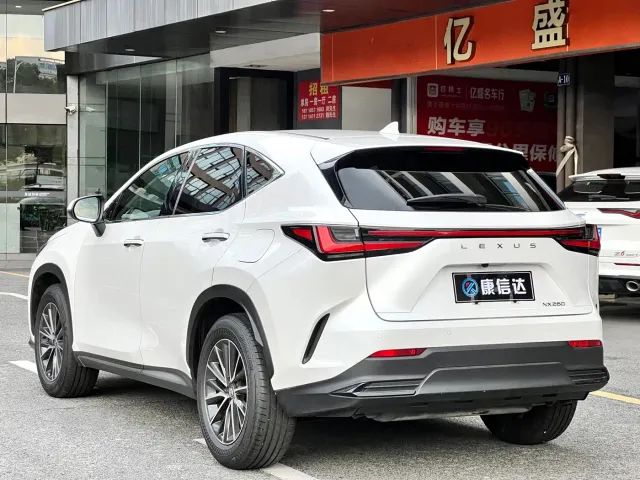 Lexus NX — Фото автомобиля 11