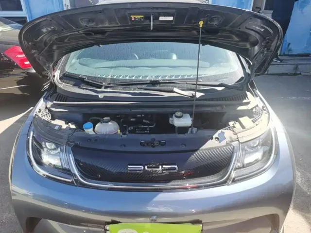 BYD Dolphin — Фото автомобиля 19