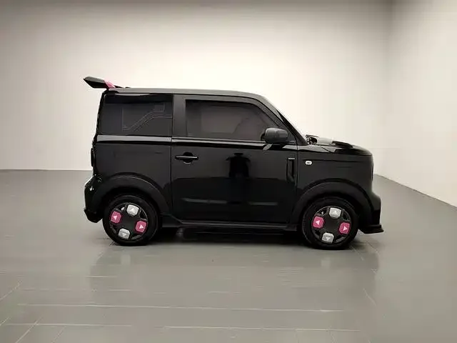 Geely Galaxy Panda 2024 200km Panda Kart — Фото автомобиля 8