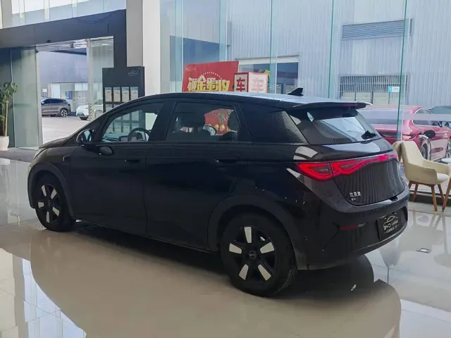 BYD Dolphin — Фото автомобиля 5