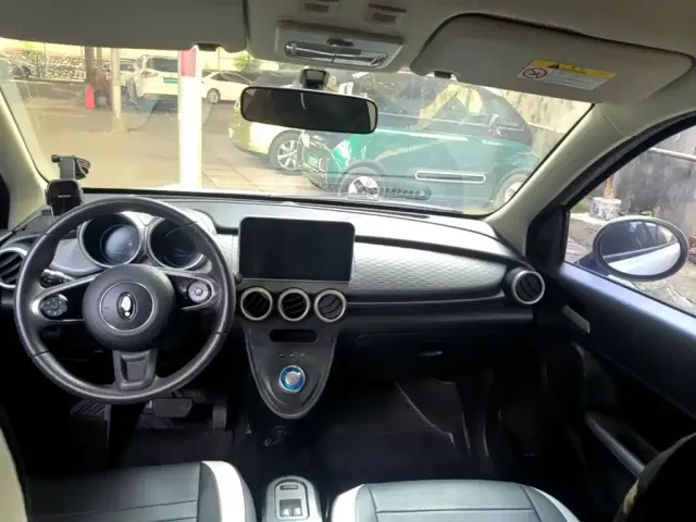 Ora Ora Black Cat 2021 301km Pet Edition — Фото автомобиля 11