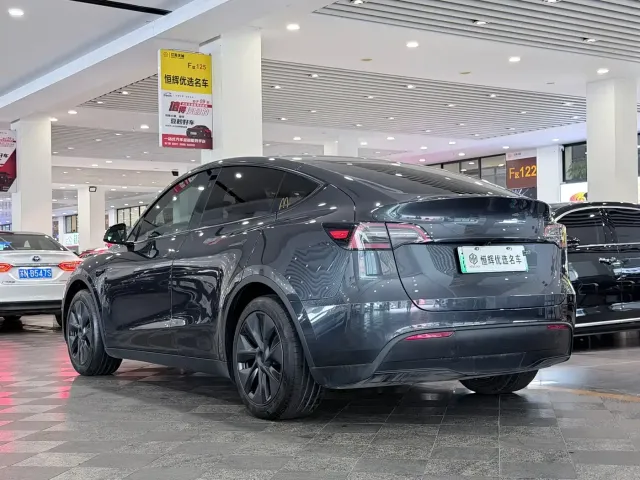Tesla Model Y — Фото автомобиля 4