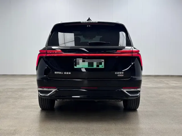 Wey Lanshan — Фото автомобиля 5