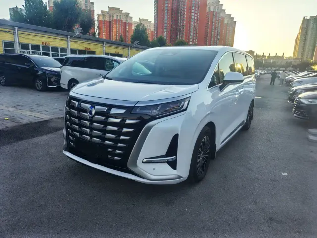 Фотография автомобиля — Denza D9