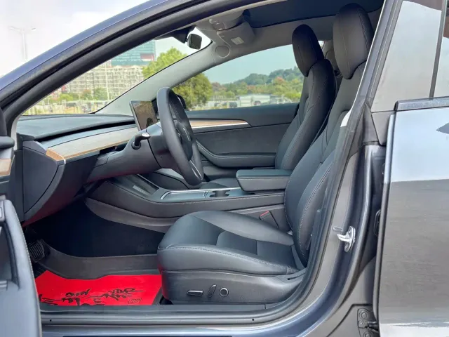 Tesla Model 3 — Фото автомобиля 10