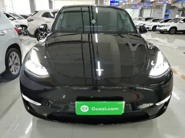 Tesla Model Y — Фото автомобиля 2