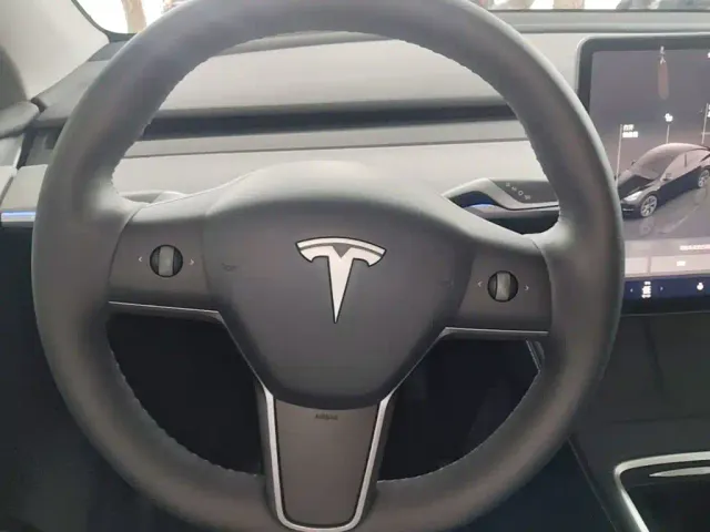 Tesla Model Y — Фото автомобиля 10