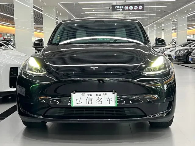 Tesla Model Y — Фото автомобиля 2