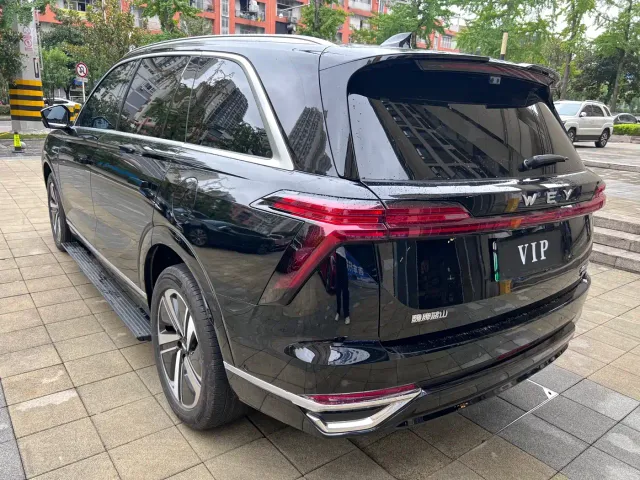 Wey Lanshan — Фото автомобиля 7